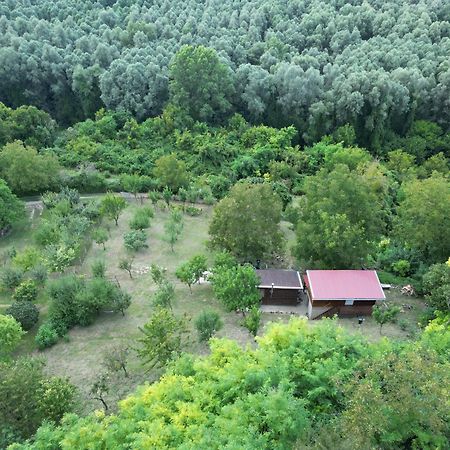 Odmor Za Dusu I Tijelo U Srcu Prirode Villa Aljmas Exterior photo