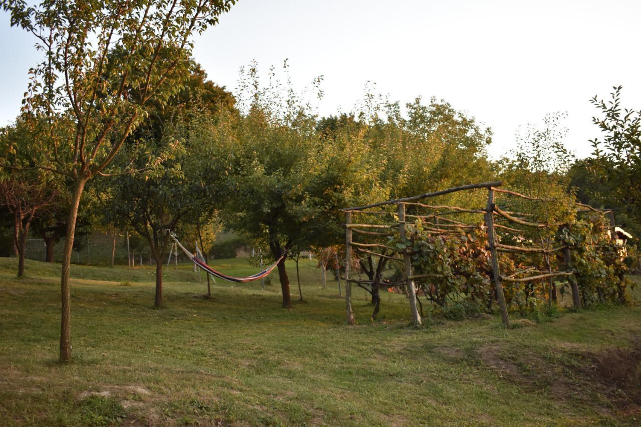 Odmor Za Dusu I Tijelo U Srcu Prirode Villa Aljmas Exterior photo