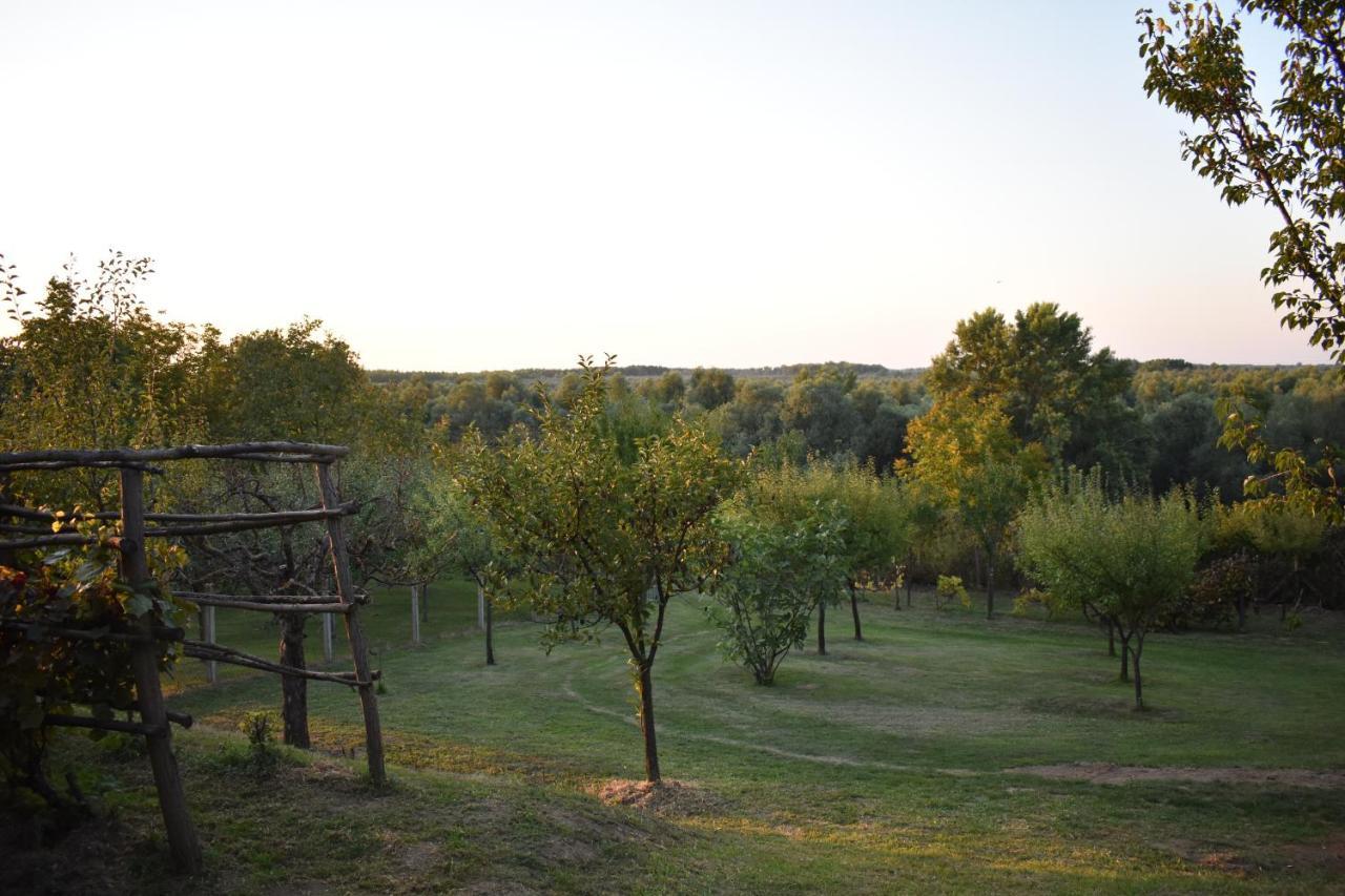 Odmor Za Dusu I Tijelo U Srcu Prirode Villa Aljmas Exterior photo