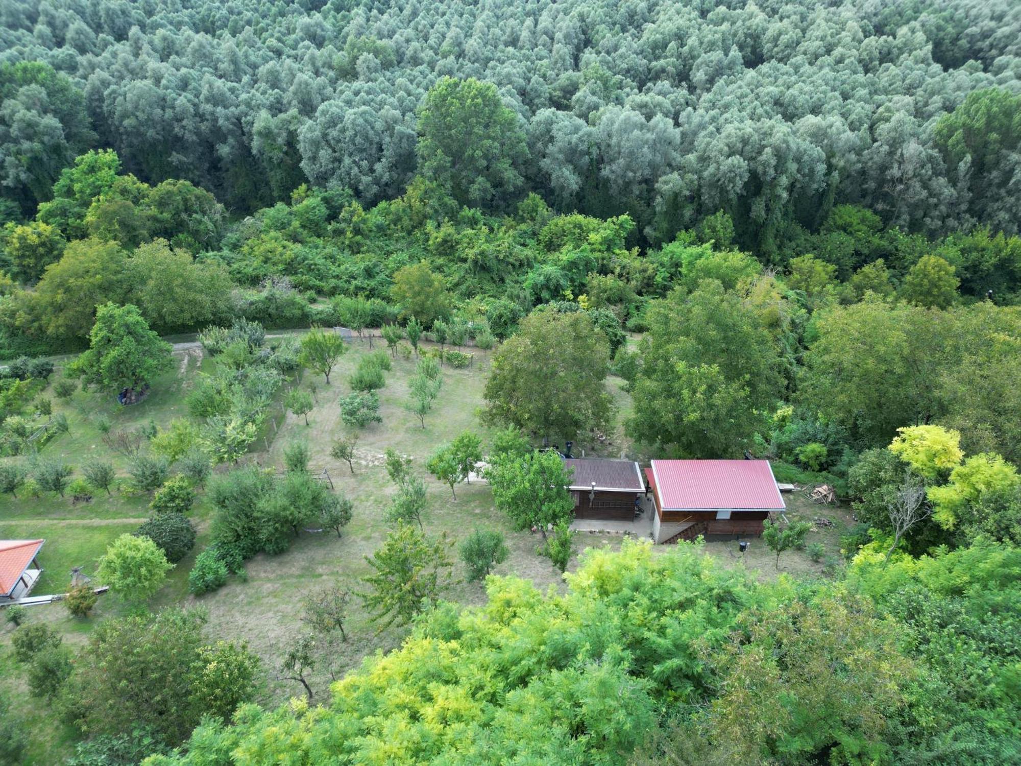 Odmor Za Dusu I Tijelo U Srcu Prirode Villa Aljmas Exterior photo